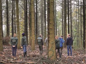 Renforcer la résilience des forêts en Europe